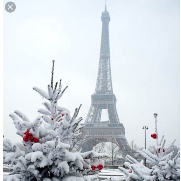 Meet your Posher, Tammy - Picture 1 of 1